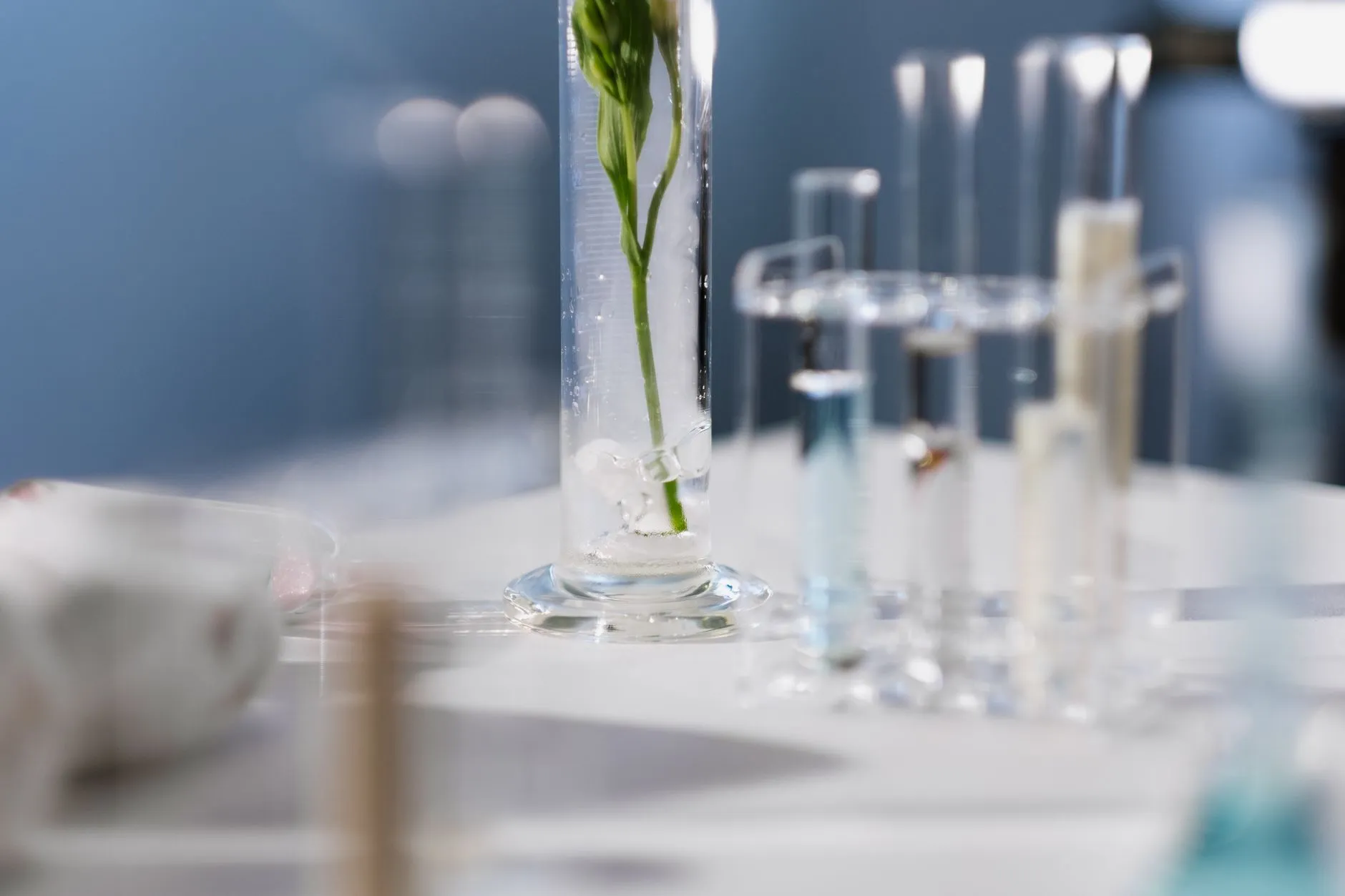 云南特色植物萃取在天然护肤产品中的成分稳定性分析正文配图 1