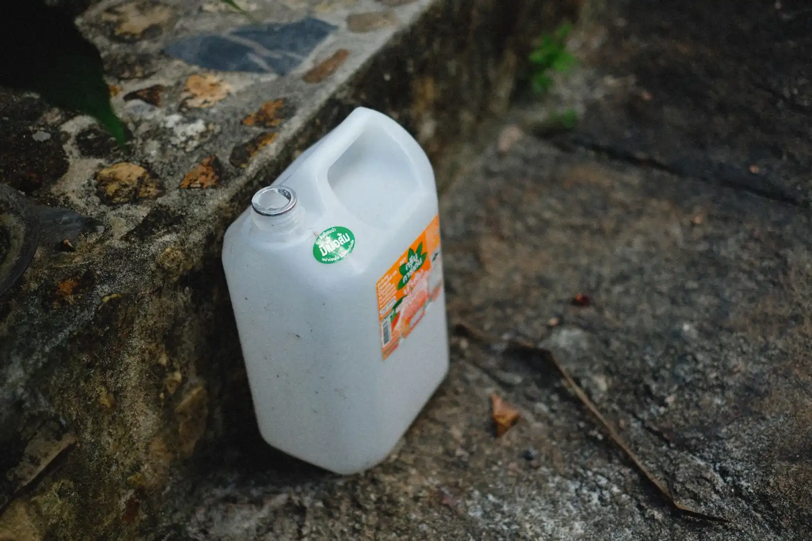 云南曼蔻植物萃取护肤线:玫瑰纯露与茶树精油的应用解析