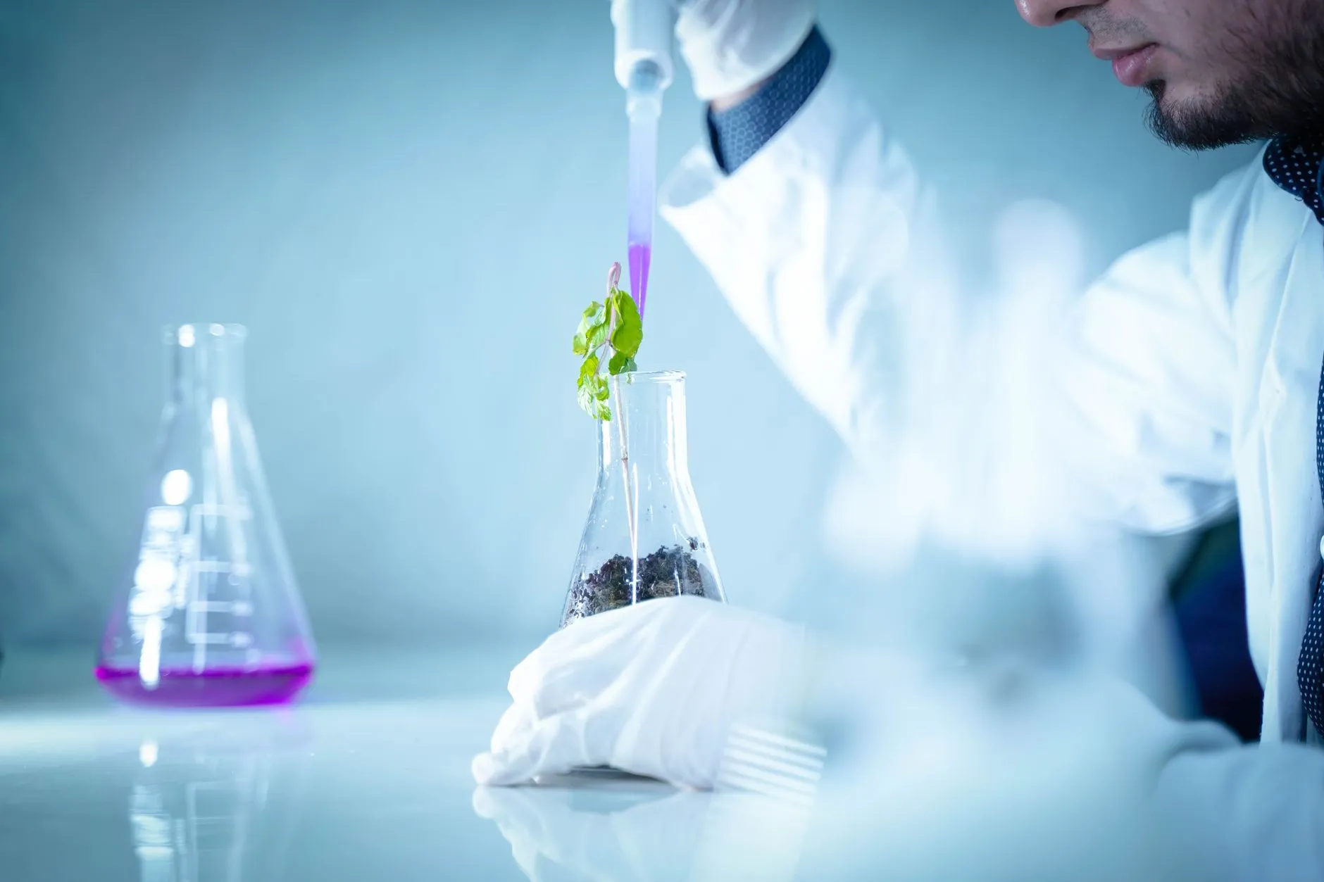 2025年植物萃取护肤原料在敏感肌修护领域的应用进展分析正文配图 1