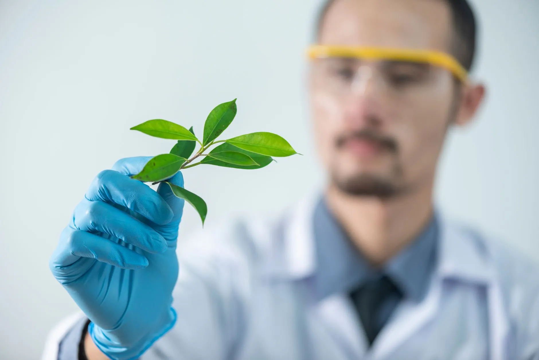 2025年植物萃取护肤原料在敏感肌修护领域的应用进展正文配图 1