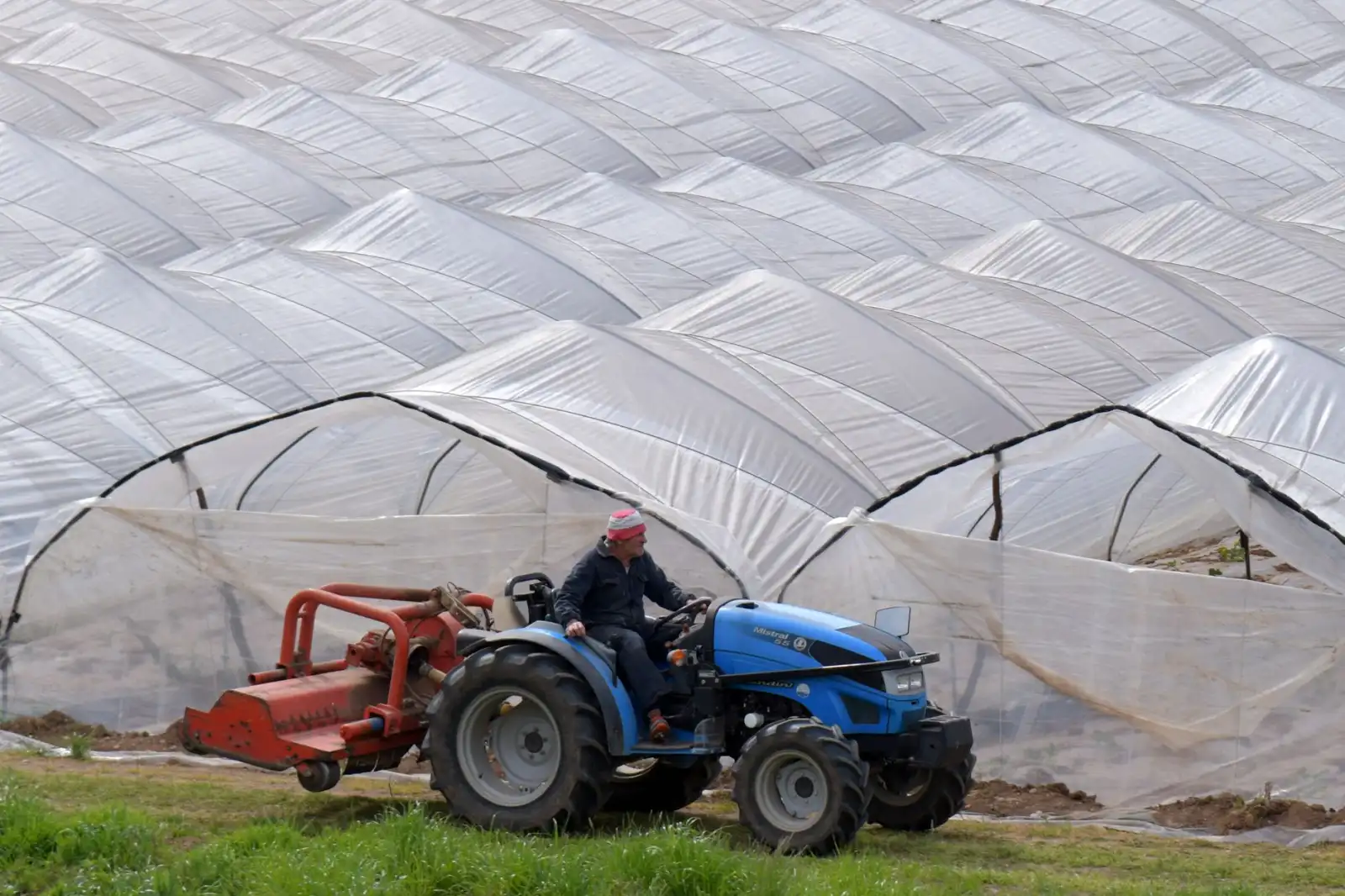 2025年植物萃取护肤原料在敏感肌修护领域的应用进展分析封面图