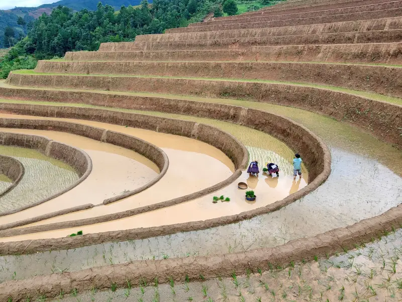 植物萃取护肤品配方稳定性影响因素与质量管控要点