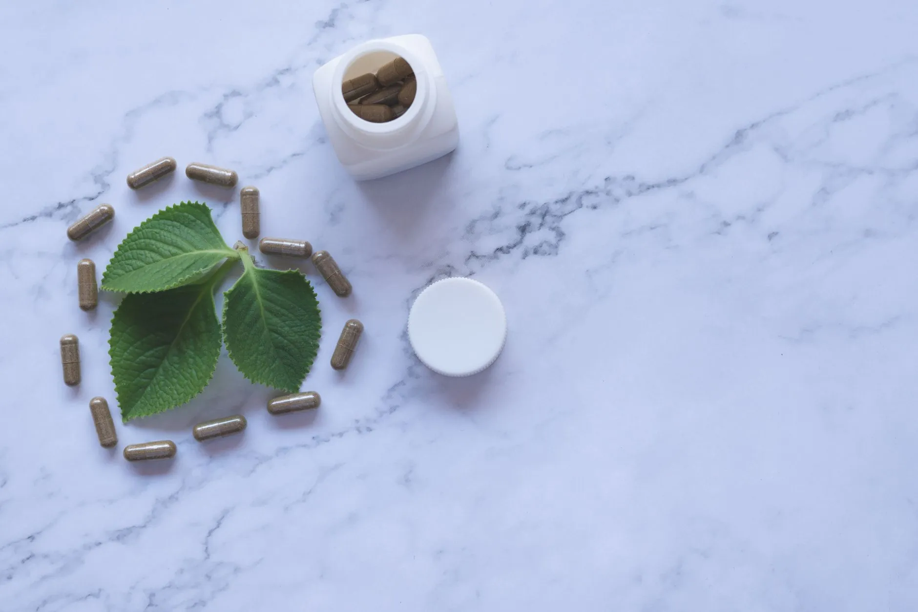 欧曼蔻蔻玫瑰纯露与茶树精油在芳香疗法中的协同作用分析