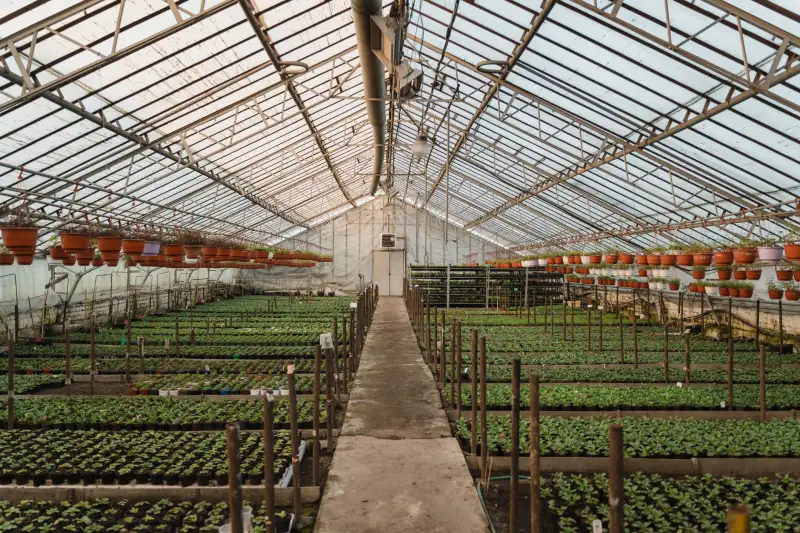 云南植物萃取护肤原料在化妆品中的应用现状与前景分析