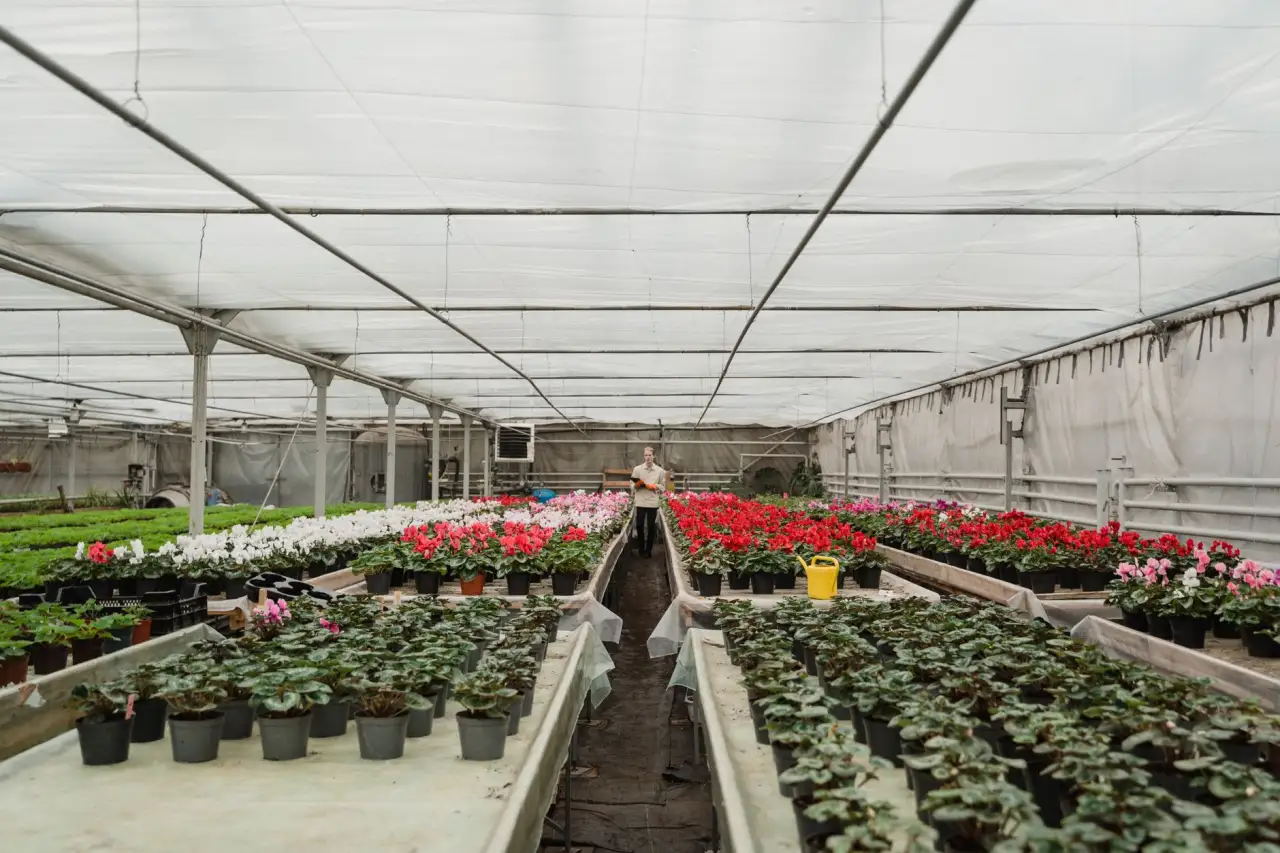 植物萃取护肤品的活性成分稳定性与质量控制技术要点封面图