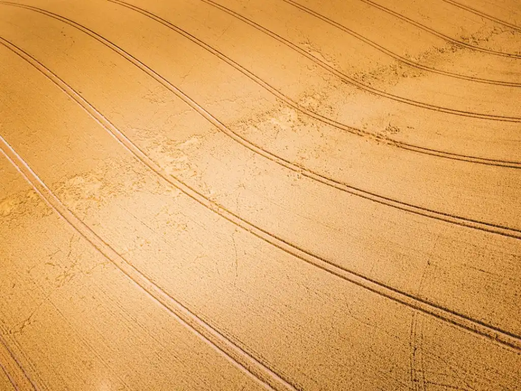 云南曼蔻生物科技植物萃取护肤原料技术优势解析