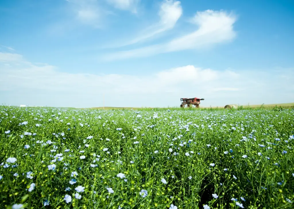 2025年植物萃取护肤原料在敏感肌修护领域的应用趋势分析