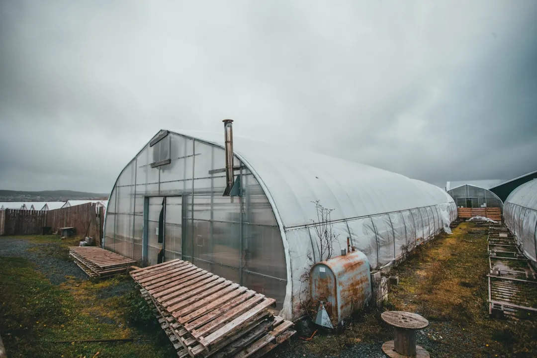 云南曼蔻生物科技玫瑰纯露与茶树精油产品线技术对比分析